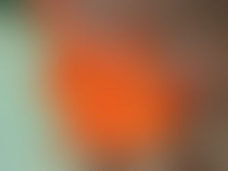 大瀬崎海洋速報 2023/6/23(金)