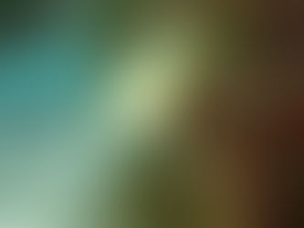 大瀬崎海洋速報 2024/3/10(日)