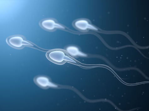 Why Sperm Quality Matters More Than You Think in Your Surrogacy IVF Cycle