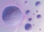 beautiful-fertility-concept-3d-rendering (1).jpg