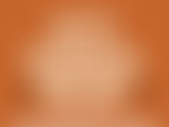 Recap: December 15th Council Meeting votes on Health Insurance and No Confidence