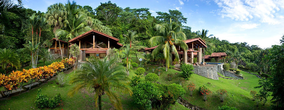 Costa Rica Jungle Beach Retreat 2025