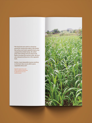 booklet-8.jpg