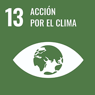 imagen_2022-01-24_193523.png