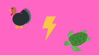 Vos actions sont-elles plutôt dindes, ou tortues ?