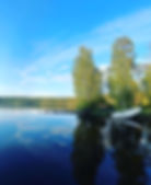 9DB30233-E424-42AD-B4AD-74D5F7AA2ABD.jpeg