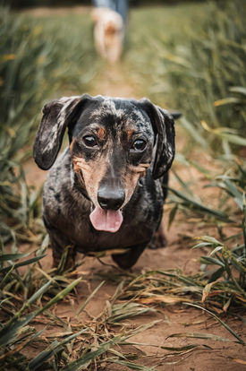 DSC01117-Enhanced-NR