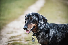 DSC09153-Enhanced-NR