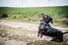 DSC02060-Enhanced-NR