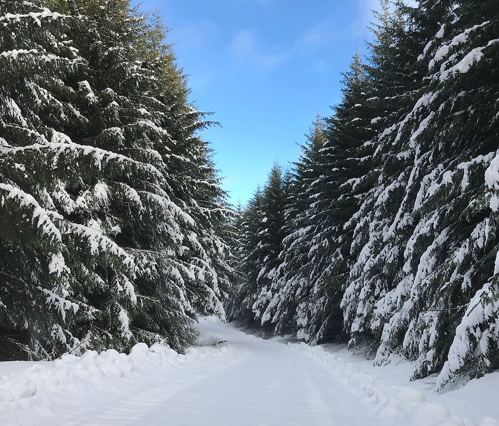 The Joy of a Winter Practice