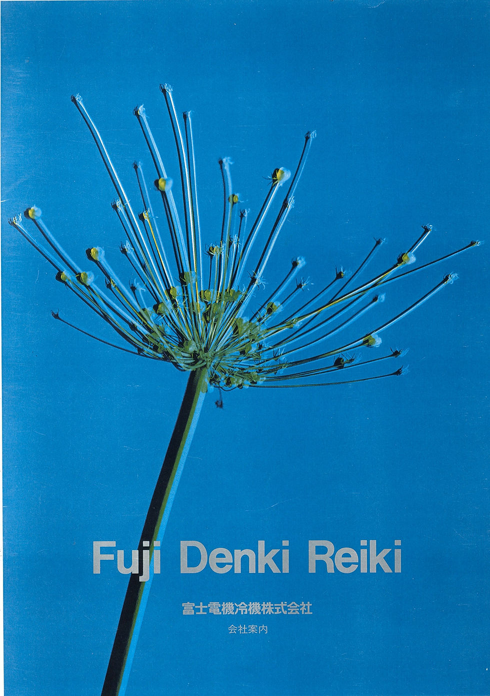 Fuji Denki