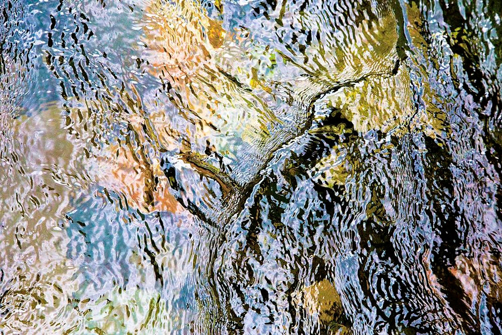 se1