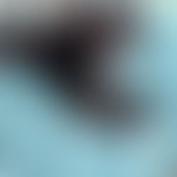 モンスタ ※里親様決定