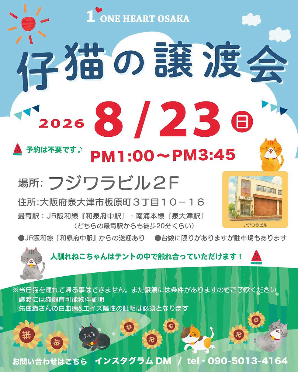8月23日(日) 譲渡会開催決定