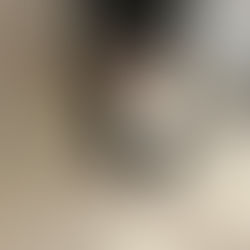 ルル ※里親様決定