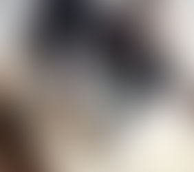 バス ※面談予定
