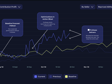 60% Price Increase Doubled Profit With Same BSR on Amazon | Profasee Case Study