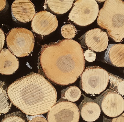Wood%20Pile_edited.jpg