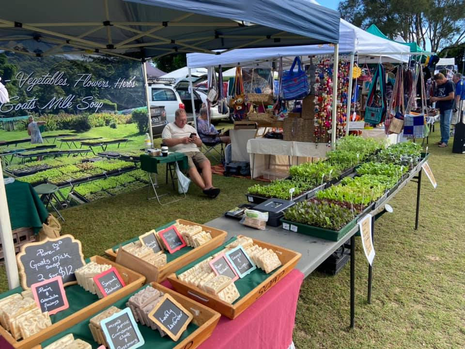 a man sits under a tent selling soap and plants