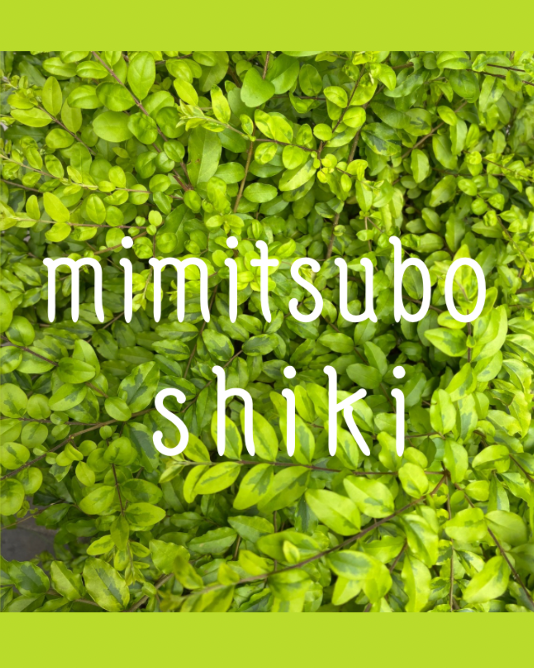 mimitsubo  shiki - 認定講師 / エメラルド式耳つぼリフレクソロジー協会