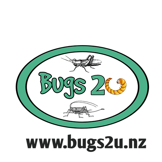 Final Logo b2u.png