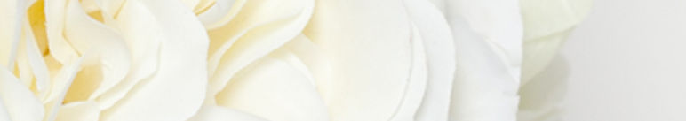 pivoines
