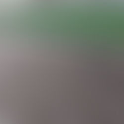 War in Iran Causing Massive Fertilizer Shortages, Farmers Say