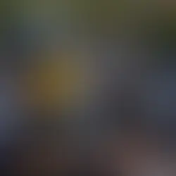 New Climate Summit Excludes Nations Supporting Fossil Fuels