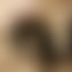 Gunman Storms White House Dinner, Trump Uninjured