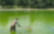 Algae Returns, Paint Peeling After $16 Million Reflecting Pool Renovation