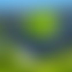 Nvidia Beats Second Quarter Estimates But Stock Falls Due to Data Center Revenue