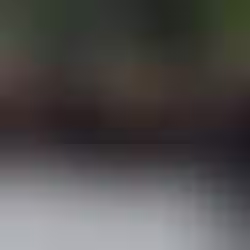 Over 64 Killed After Police Raids Against Drug Gangs in Rio