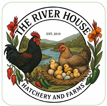 The River House Hatchery and Farms logo: rooster, hen, chicks, eggs