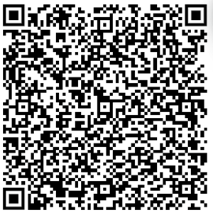 MCamilleri vCard QR Code.gif