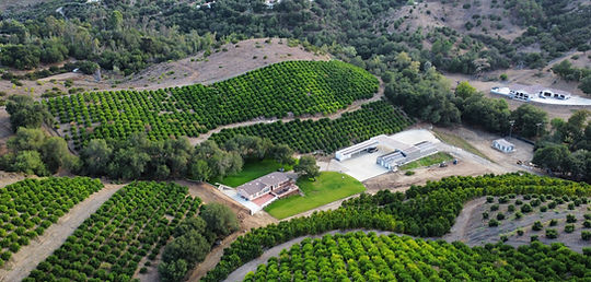 Panoramic view of Sunmist Estate showing the wedding venue grounds, farm buildings, and expansive citrus orchards and avocado