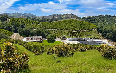 Sunmist Estate Field Trips