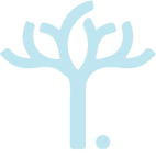 Asset 4_2x.png