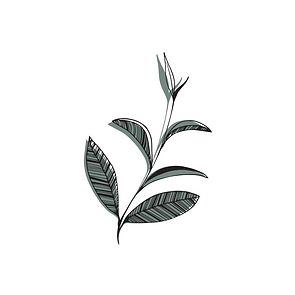 Jess Tea Leaves (11.21.20).png