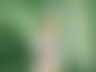 Témoignage : "Comment n'ai-je pas connu cette gamme avant ?"