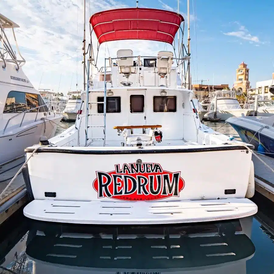 Sportfishing-in-Los-Cabos-4-min.webp