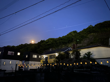 今夜の月は綺麗です。