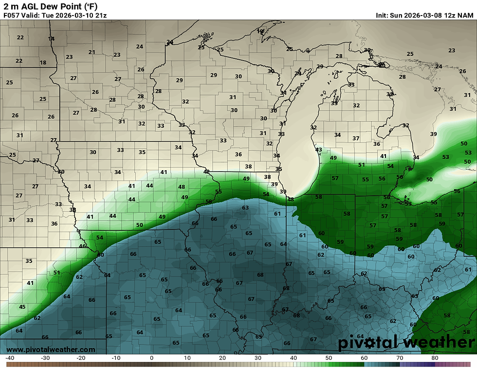 NAM 2m AGL Dew Points for Tuesday at 3p