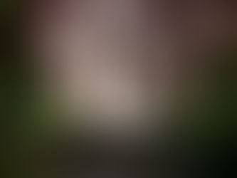 Szkolenie dla nauczycieli waldorfskich