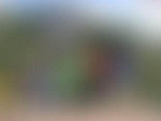 Wycieczka rowerowa do Ojcowa