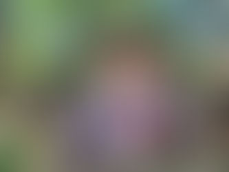 Budowa domu w klasie III