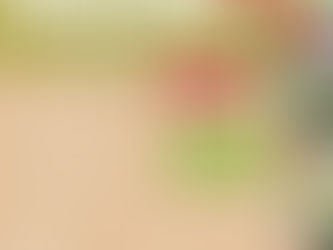 Półkolonie w Korczaku