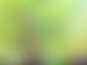 Waldorfski Piknik Rodzinny