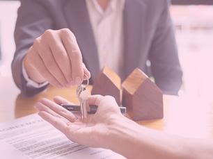 Real Estate's Go To Merch: What the Data Says