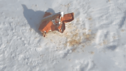 Безымянный11111