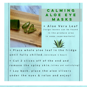 Aloe my friends! One of my wellness/beauty fav's!